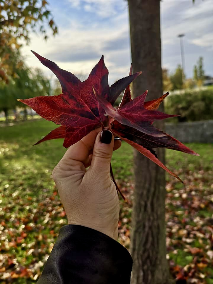 cosa vuol dire davvero hygge